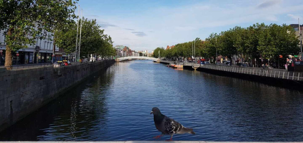 View from Dublin