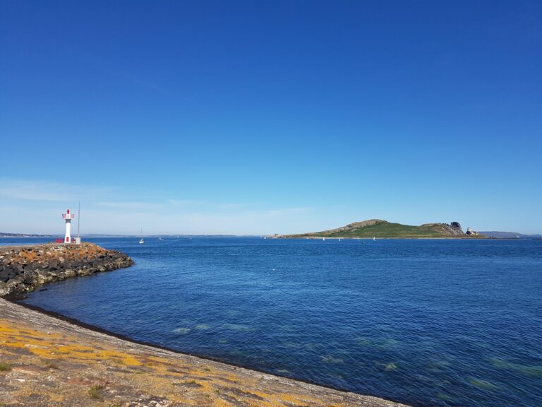 The marina and the lighthouse